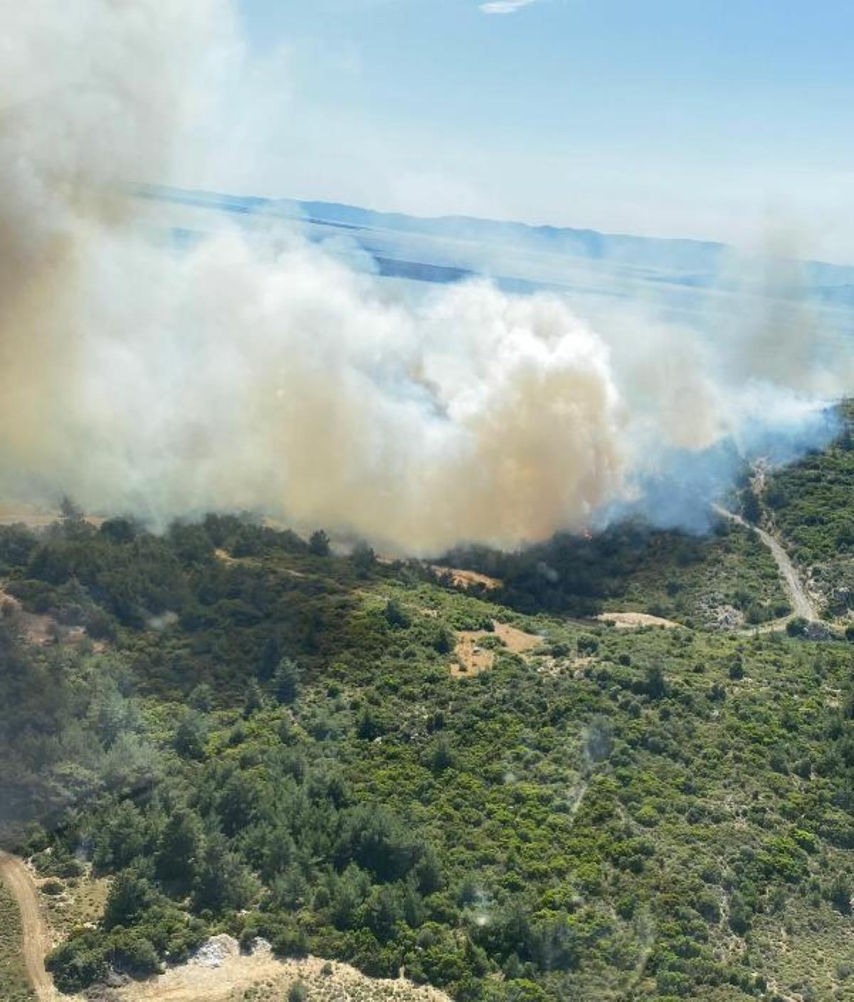 İzmir’de makilik ve orman yangını