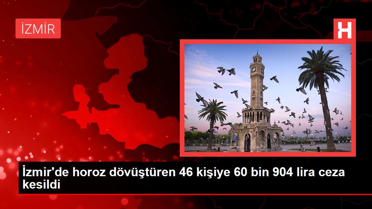 İzmir’de horoz dövüştüren 46 kişiye 60 bin 904 lira ceza kesildi