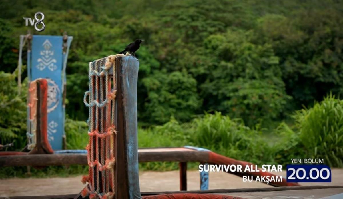 Survivor canlı izle! 10 Haziran Cuma TV8 Survivor yeni bölüm canlı izle! Survivor 130. bölümde neler olacak? Eleme adayları kim? TV8 canlı izle!