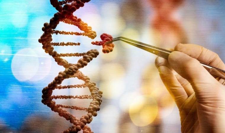 Dünyanın ilk CRISPR gen tedavisi onaylandı! Şimdi ne olacak?