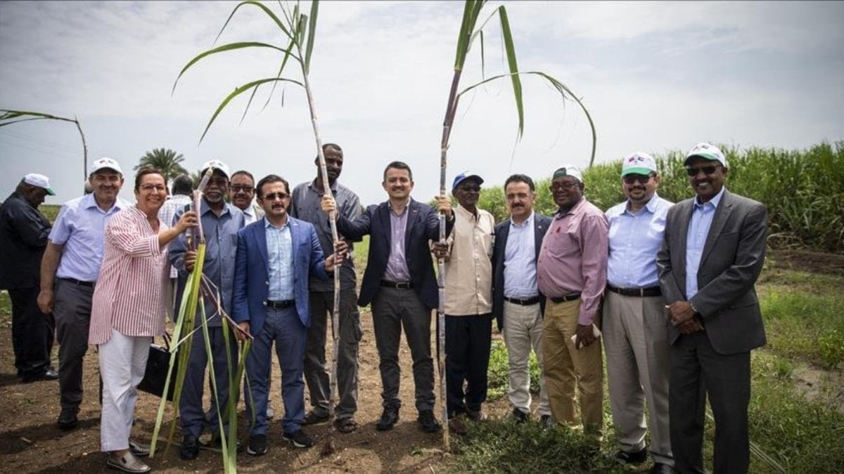 Türkiye’nin Sudan’daki tarım şirketi için tasfiye kararı