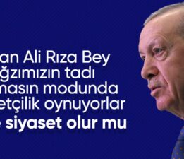 Cumhurbaşkanı Erdoğan: Özgürlükçü bir anayasaya kavuşmamız şart