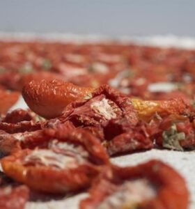 Almanya, İngiltere ve ABD, Türkiye’nin kuru domatesine bayıldı