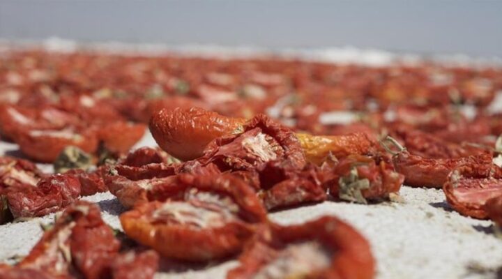 Almanya, İngiltere ve ABD, Türkiye’nin kuru domatesine bayıldı