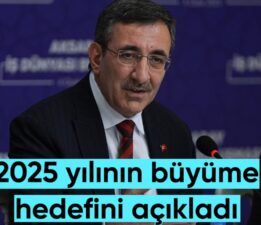 Cevdet Yılmaz: Bu yıl büyüme hedefimiz yüzde 4