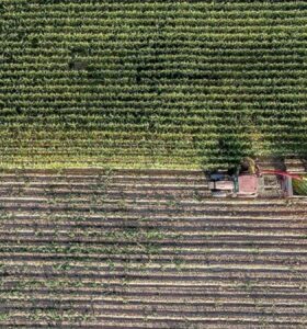 Çiftçilerin tarım sigortası maliyetine destek