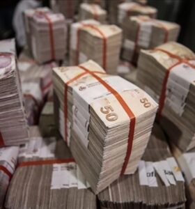 Hazine nakit gerçekleşmeleri açıklandı