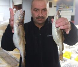 Ordu’da kıyıdan 4 saat uzaklıkta avlanan dev mezgitler pazarı hareketlendirdi