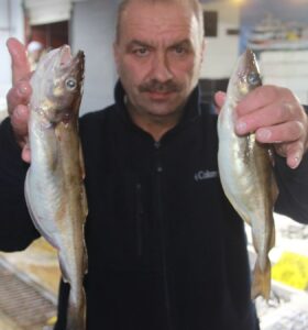 Ordu’da kıyıdan 4 saat uzaklıkta avlanan dev mezgitler pazarı hareketlendirdi